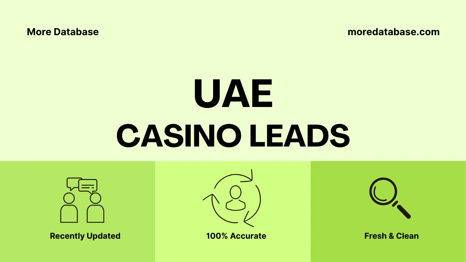UAE Casino Leads